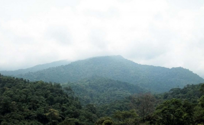 Fotografía de la Portada : El Parque Nacional Pico Bonito abarca una de las montañas más eco-diversas de Honduras.