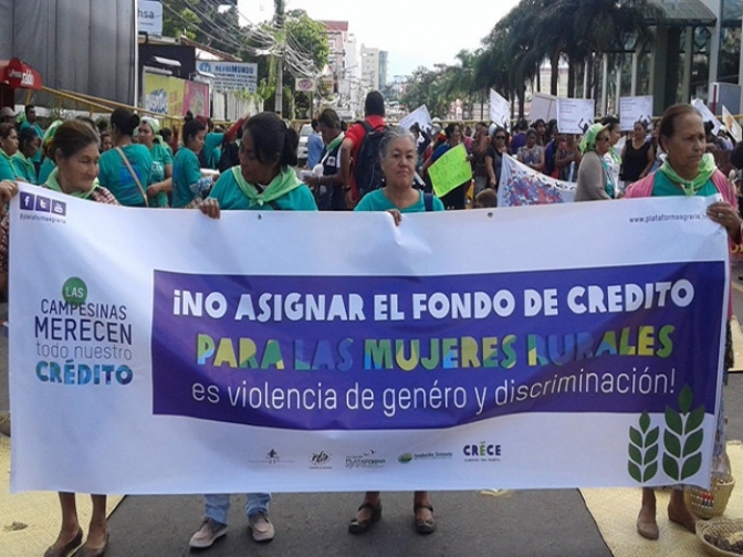 Luego de casi dos años de presiones para concretar un proyecto que ahora es ley en Honduras, las mujeres buscan que se pase del papel a la acción