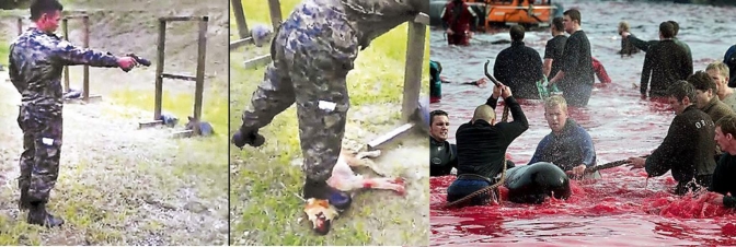 En la foto a la izquierda militares de Honduras matan perro. En la foto a la derecha en Dinamarca hay matanza de delfines 